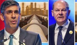 Scholz turns to UK to sign ‘mutually beneficial’ deal to share gas to prevent blackouts