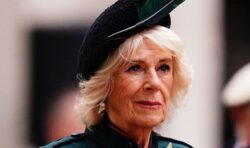 Queen Camilla commemorates war dead as she lays cross at Field of Remembrance ceremony