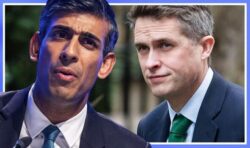 Tory fightback brought to crashing halt after Gavin Williamson ‘bullying’ scandal – poll