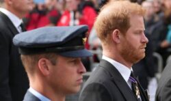 Prince Harry accused of being Prince William’s ‘hitman’ rather than his ‘wingman’