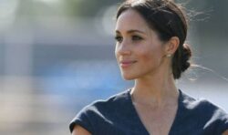 Meghan Markle’s political hopes may be in tatters after ‘alienation’ from ‘half’ of the US