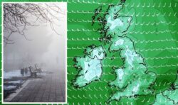 ‘Never say never’: Met Office responds to reports of snow and polar conditions in days