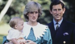 Diana and Charles’s marriage ‘started deteriorating after Prince William’s birth’