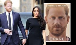 Prince Harry and Meghan Markle SHOULD lose titles if Duke’s memoir attacks royals – poll