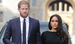 Harry & Meghan ‘unlikely’ to join royals at Sandringham for first Christmas without Queen