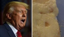 Mum spooked after finding what looked like Donald Trump’s face on her cheese on toast