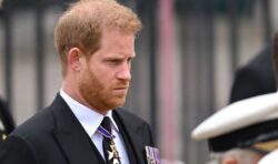 Prince Harry acted ‘respectful’ during visit to Pearl Harbour to mark Veterans Day