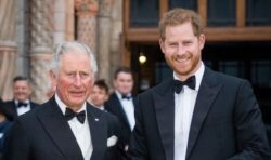 Prince Harry and Meghan to ‘keep Sussex title’ despite King Charles’ royal reshuffle