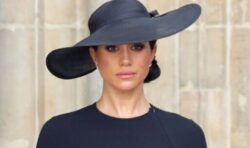 Meghan claims ‘influential’ woman told her not to give up ‘activism’ on eve of wedding