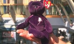 Princess Diana Beanie Baby could now be worth thousands as fans covet late royal’s legacy