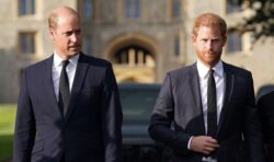Royal Family LIVE: Prince Harry’s memoir has ‘biblical resonance’ to ‘deal with’ William