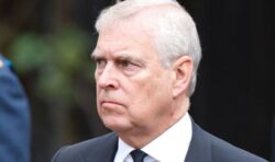 Prince Andrew ‘starting to accept’ no comeback possible but remains ‘frustrated’