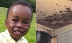 Council demands housing stock is returned after toddler dies as a result of mould in home