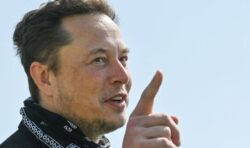 Elon Musk considers reinstating Trump’s Twitter account after mass staff resignations