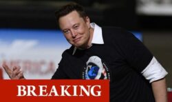 Elon Musk confirms Donald Trump’s Twitter ‘will be reinstated’ – ‘People have spoken!’