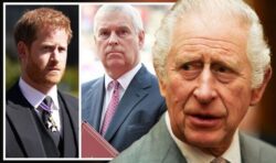 Prince Andrew and Harry will not stand in for King even if he is too ill to perform duties