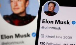 Elon Musk faces backlash from civil rights groups after reinstating Donald Trump’s Twitter