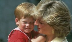 Princess Diana would have been ‘true family ally’ to Prince Harry amid royal struggles