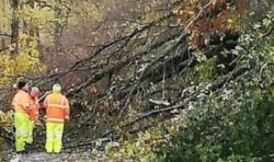 UK weather warning as ‘mini-TORNADO’ tears down trees after Met Office power cut alert