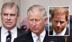 Princes Harry and Andrew being stripped of titles would be ‘terribly embarrassing’