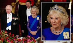 Camilla forced to ‘double take’ at state dinner as Charles not given place setting