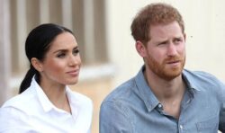 Royal Family ‘may not want’ Harry and Meghan to fly to UK for Christmas over Netflix row