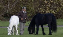 Queen’s beloved fell pony seen for first time in public since her death