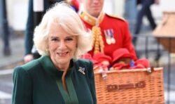 Camilla’s decision to replace ‘archaic’ term welcomed as ‘modern twist’ to royal life