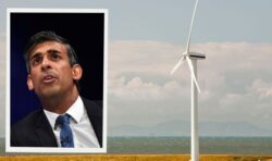 Rishi Sunak ‘very unlikely’ to accept Boris and Truss’ Tory rebellion over windfarm ban