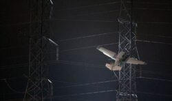 Two escape uninjured after plane flies into power lines and becomes stuck in pylon