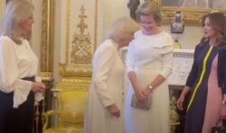 Queen Camilla and Sophie Wessex join forces to rub shoulders with European royals