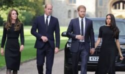 Meghan and Harry to compete with William and Kate over ‘biggest crowds’ in US, says expert