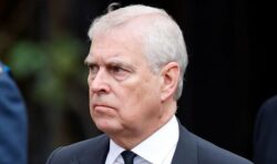 Prince Andrew’s security privileges should have been ‘stopped years ago’