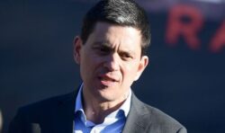 David Miliband claims UK remaining shackled to EU laws is a ‘common sense’ Brexit plan