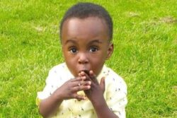 Ombudsman expedites three investigations into landlord after toddler’s death