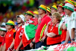 Treatment of World Cup fans in Qatar monitored after rainbow hat ban