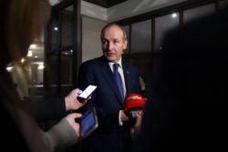 Micheal Martin: ‘Meat on bone’ needed to resolve Northern Ireland Protocol