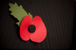 Where does the money donated to the Poppy Appeal go?