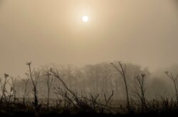 UK weather today 7/11