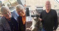 Grandad ‘finds rat the size of a baby’ in his garden in seven-year rodent battle