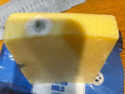 Lidl ‘very sorry’ after selling man block of cheddar covered in mould