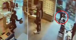 Moment teen thief knocks himself out on Louis Vuitton glass wall