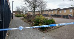 Boy, 14, dies in hospital six days after ‘stabbing’