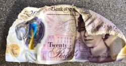 Mum accidentally slow-cooked a £20 note for days after hiding money in kitchen