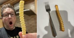 Man finds whopping frozen chip the size of a fork