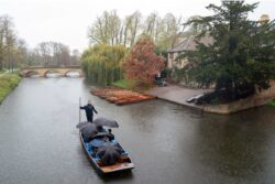 Three teens arrested after boy, 17, stabbed to death in Cambridge