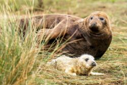 Nature groups complain to environment watchdog over delayed targets on clean air and water