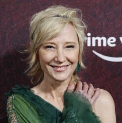 Anne Heche’s estate sued for ,000,000 after fatal crash destroyed woman’s home