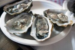 US warns of eating oysters in 13 states after 10 people food poisoned