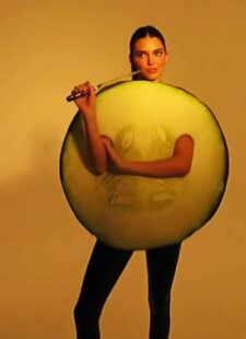 Kendall Jenner expertly trolls herself in cucumber costume as she pokes fun at meme